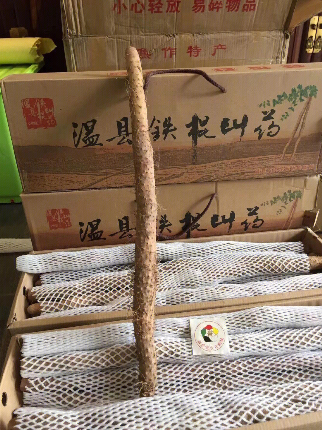 正宗温县垆土铁棍山药有现货到店,口感好,健脾养胃效果一级[强][强]