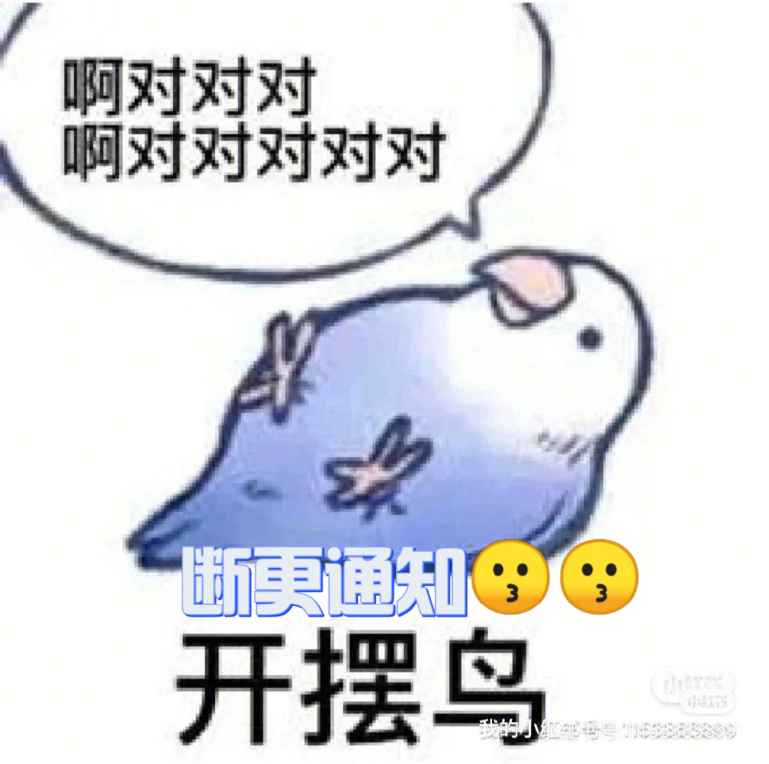 摆烂鸟