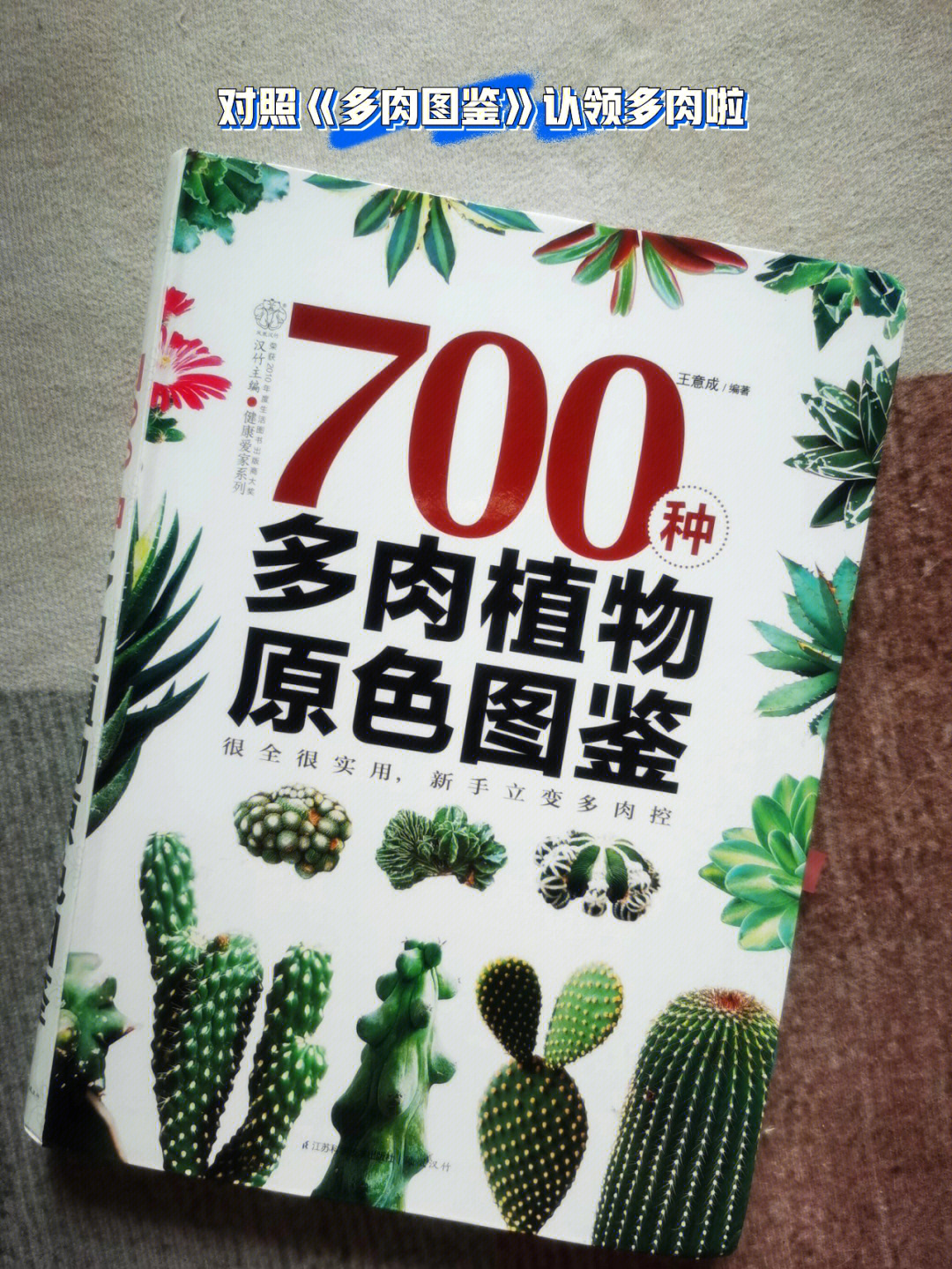 多肉图鉴对照这本书认识家里多肉啦