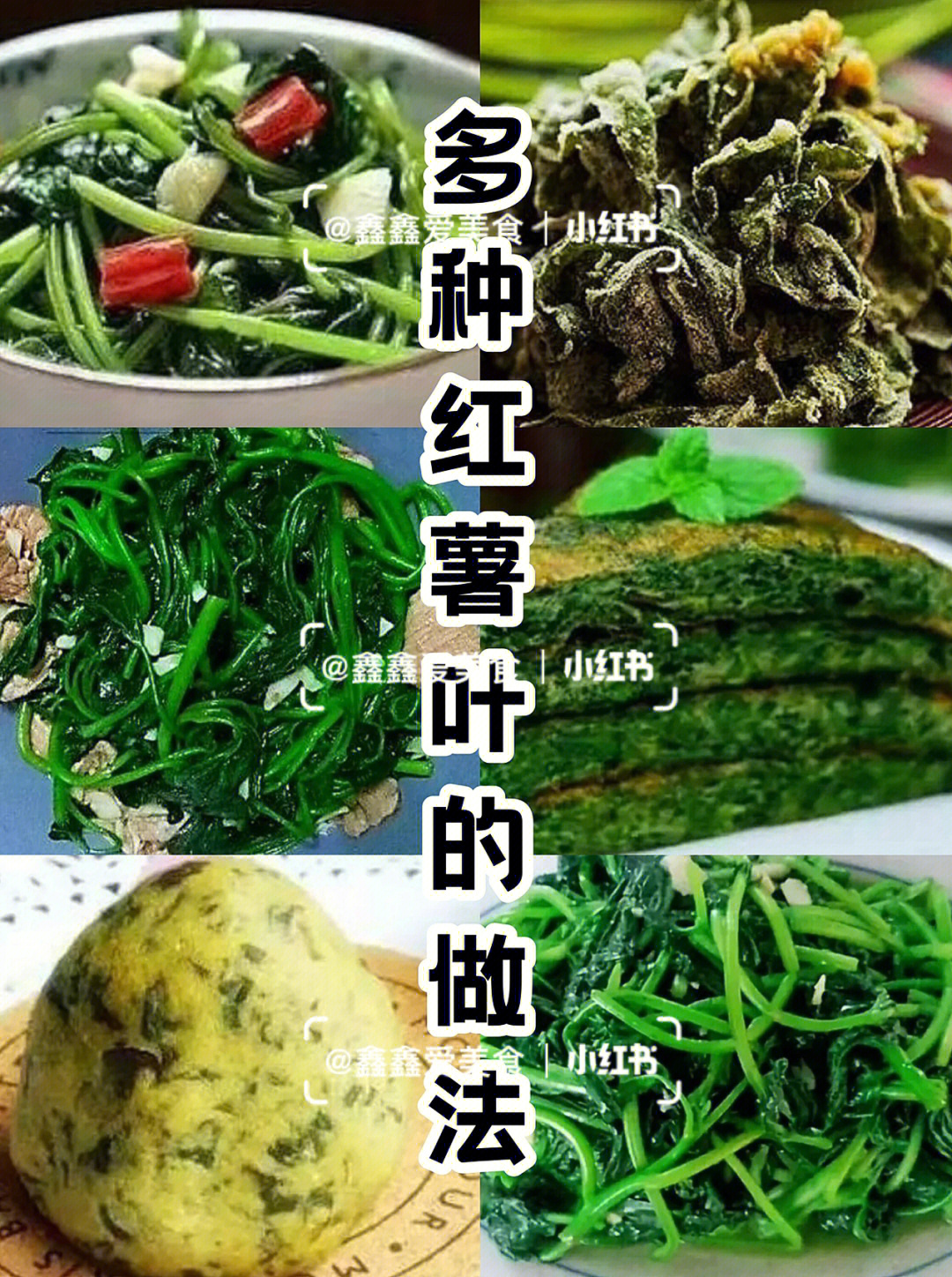 红薯叶的功效与作用图片