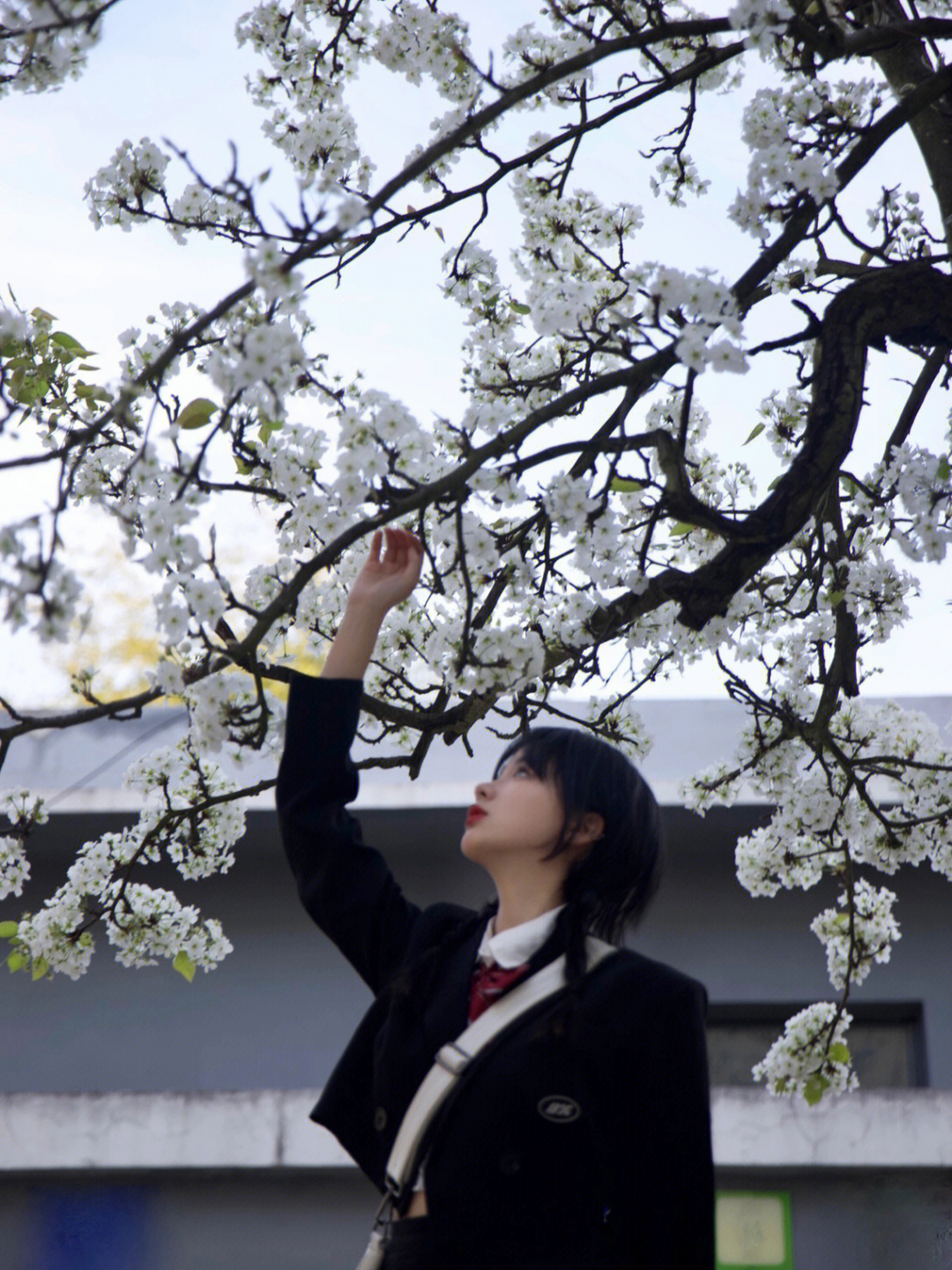 那朵花真人版图片