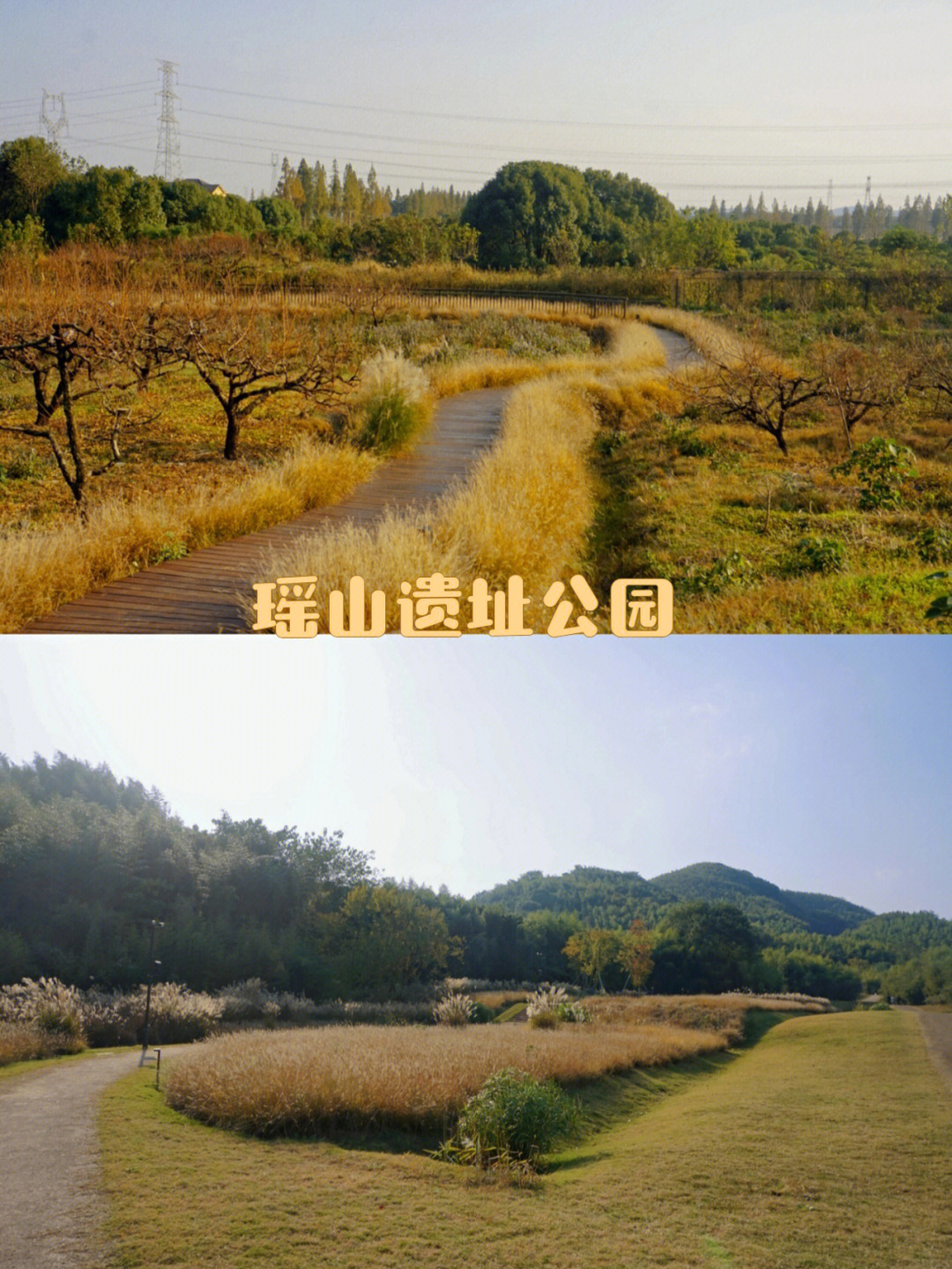杭州瑶山遗址公园门票图片