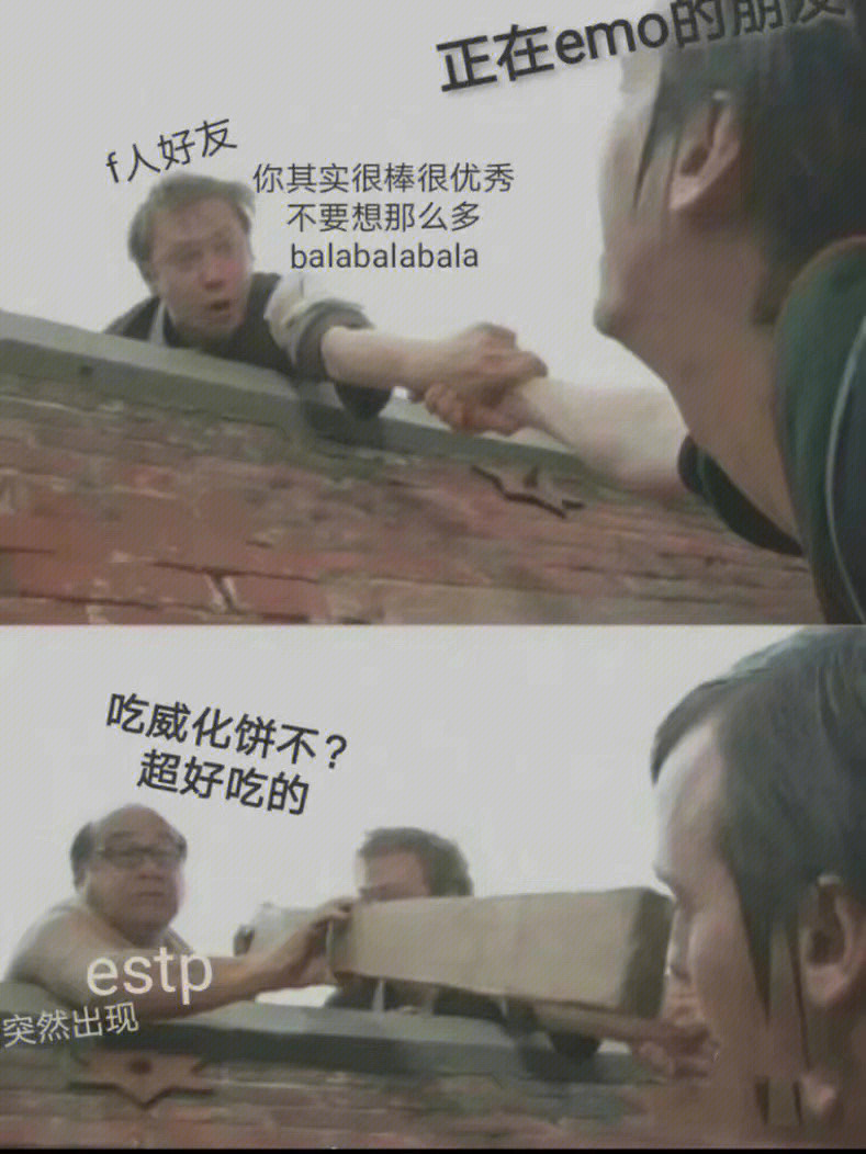 estp梗图图片