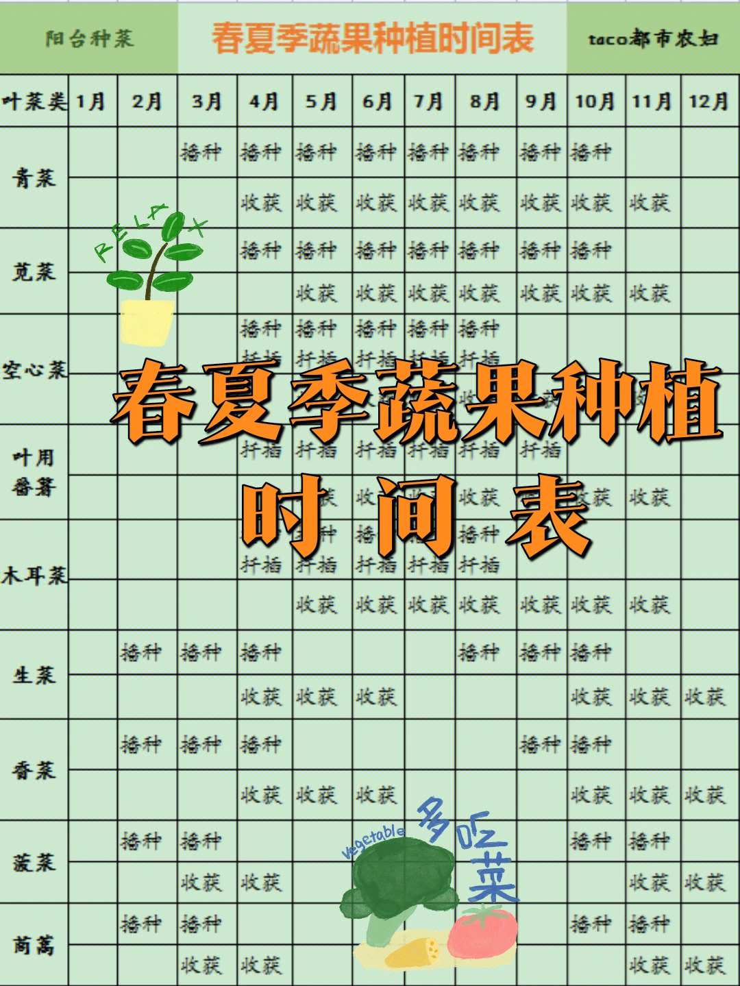 阳台种菜春夏季蔬果种植时间表
