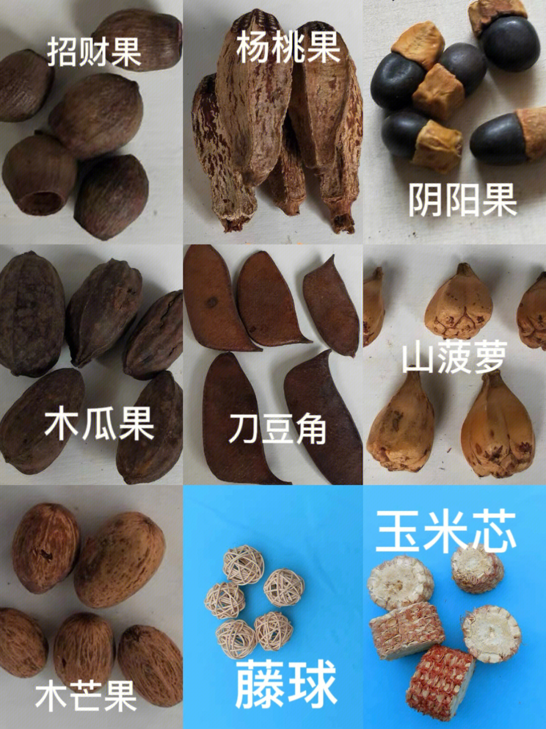 阴阳果图片功效与作用图片