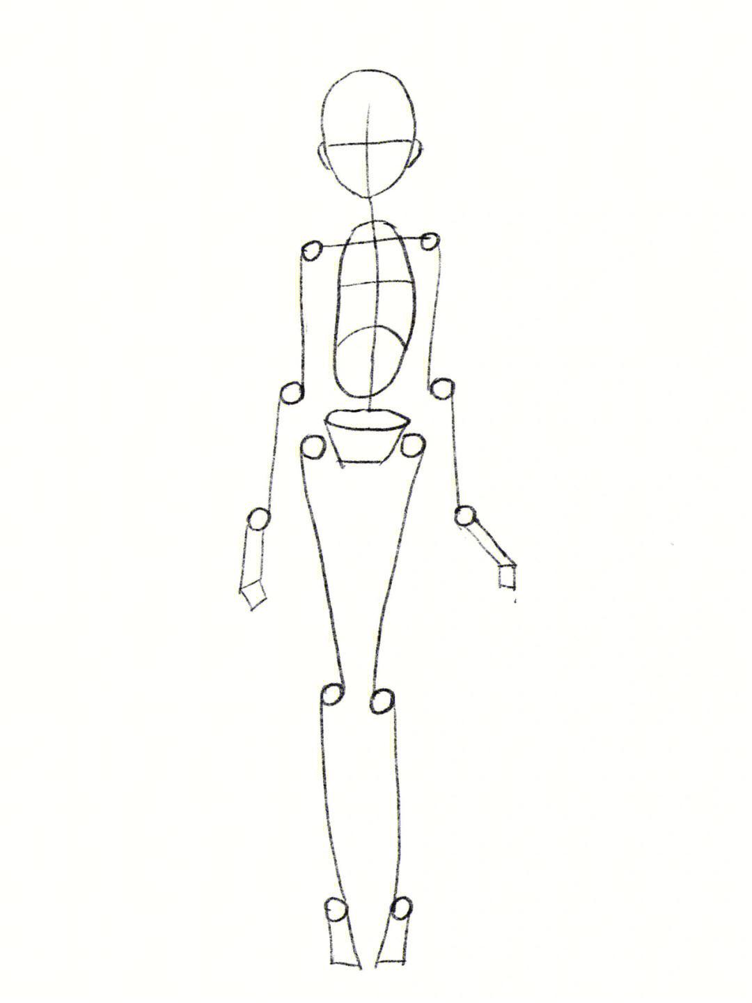 人体结构简单画法图片