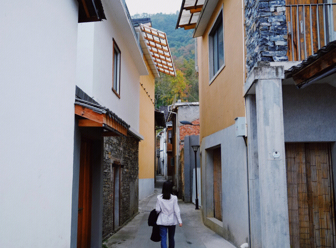 王澍浙江富阳文村图片