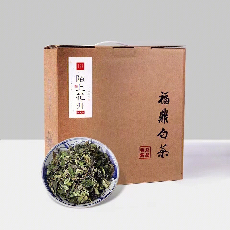 白茶与小海图片