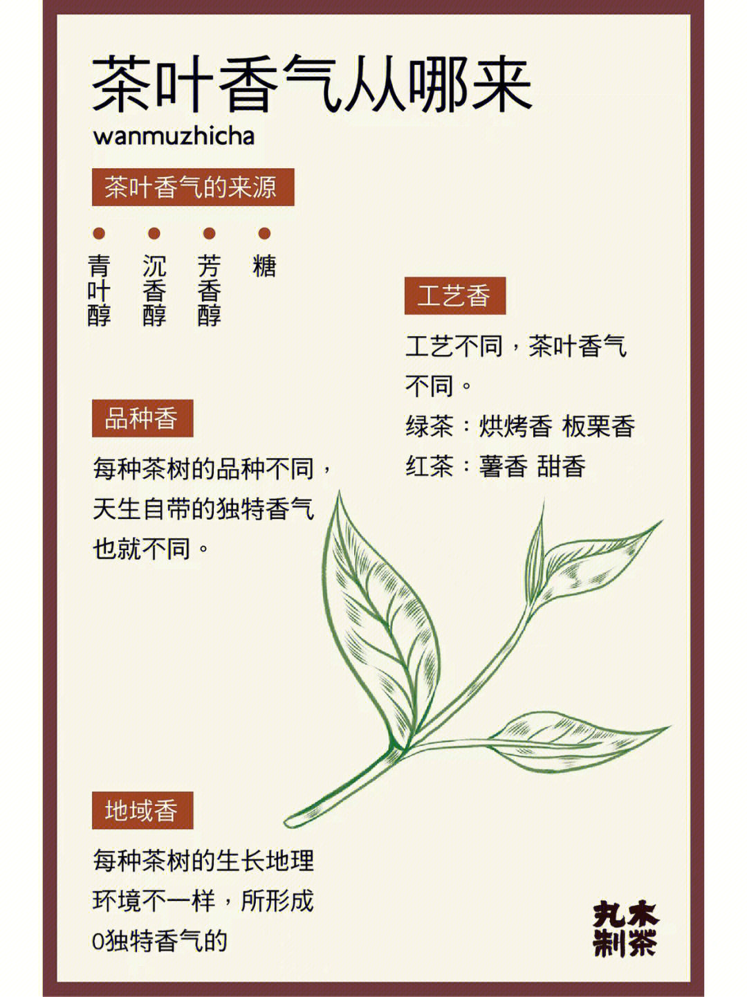 茶知识分享茶叶的香从哪里来