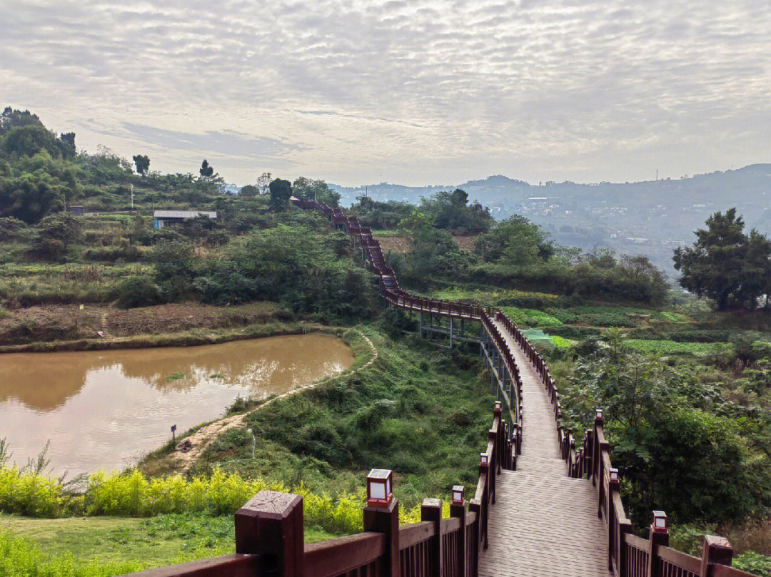 钟家山森林公园图片