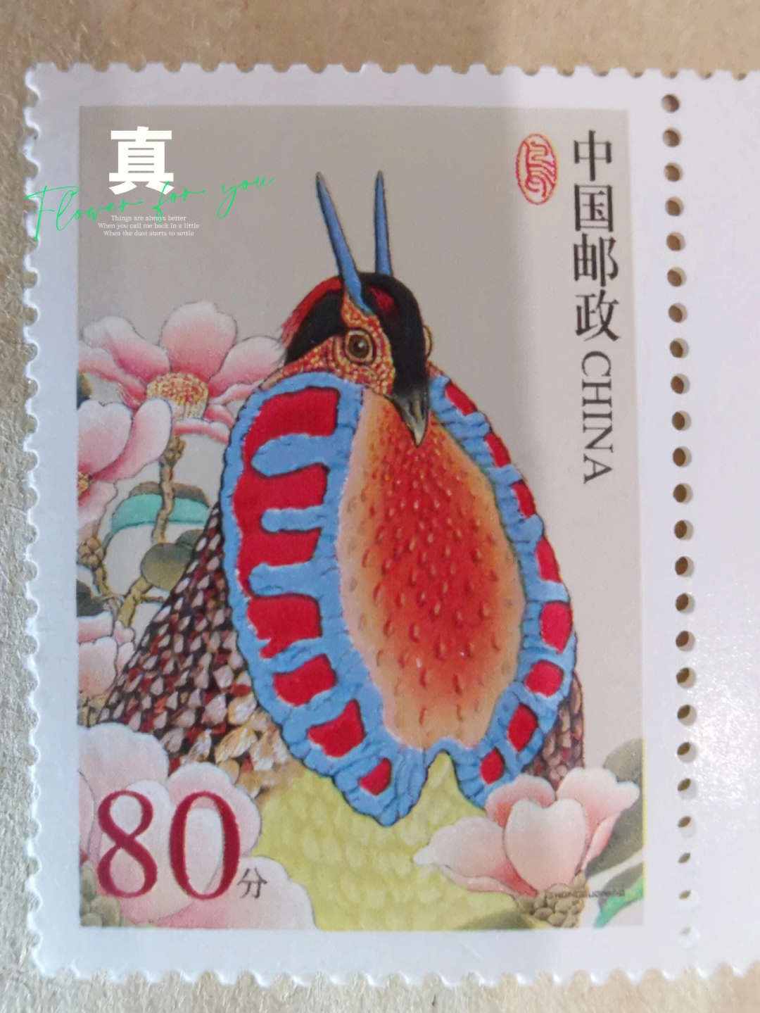 真假邮票系列——普31中国鸟80分