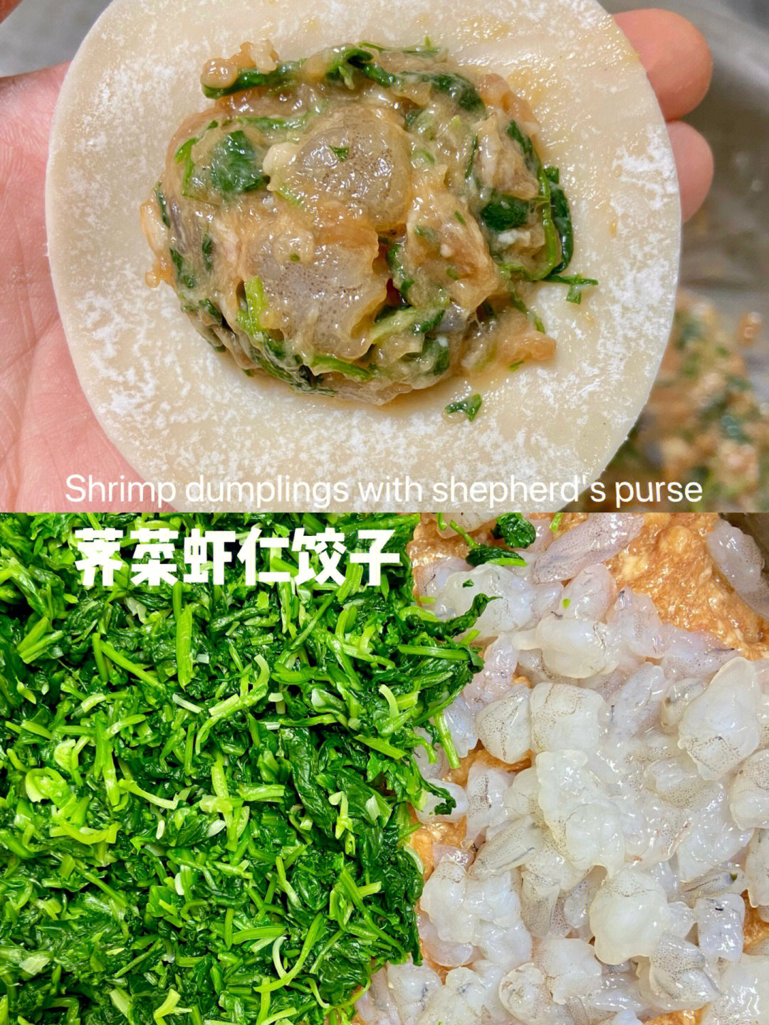 虾仁饺子馅的做法大全图片