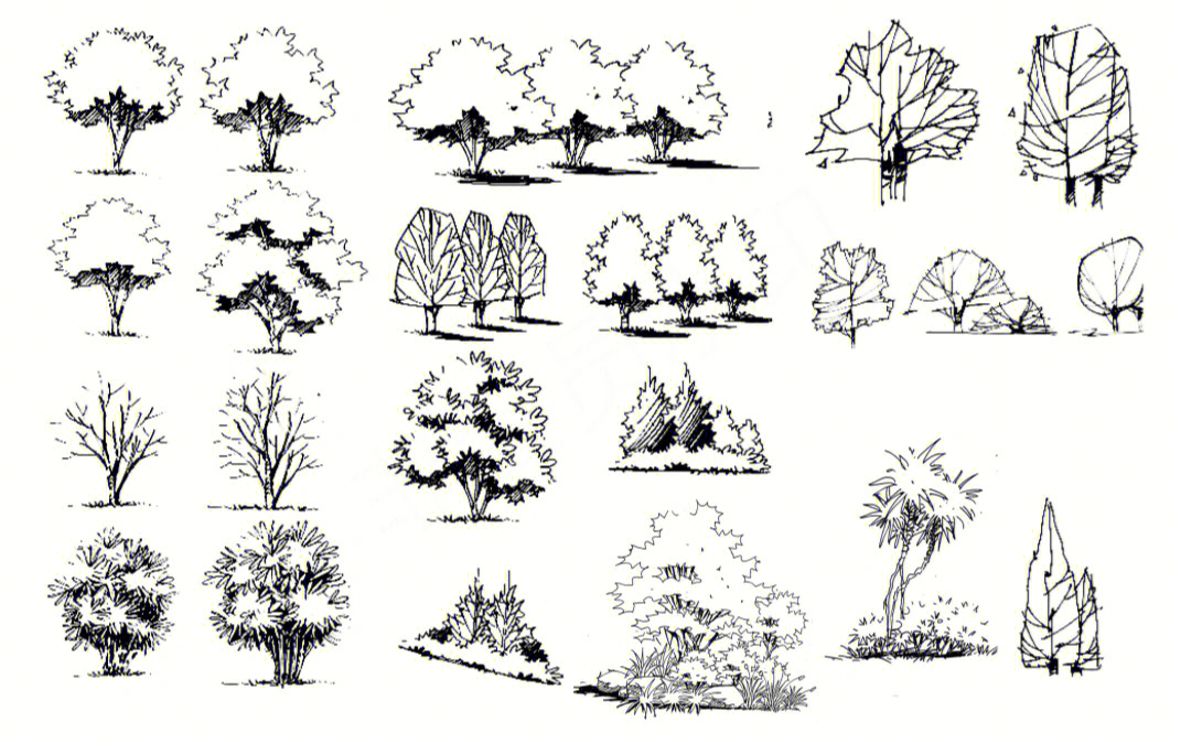 景观手绘树线条线稿图片