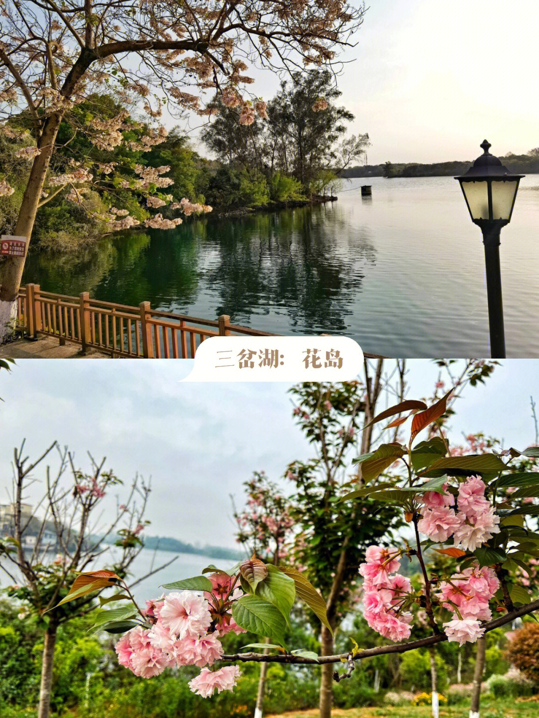 简阳三岔湖花岛图片图片