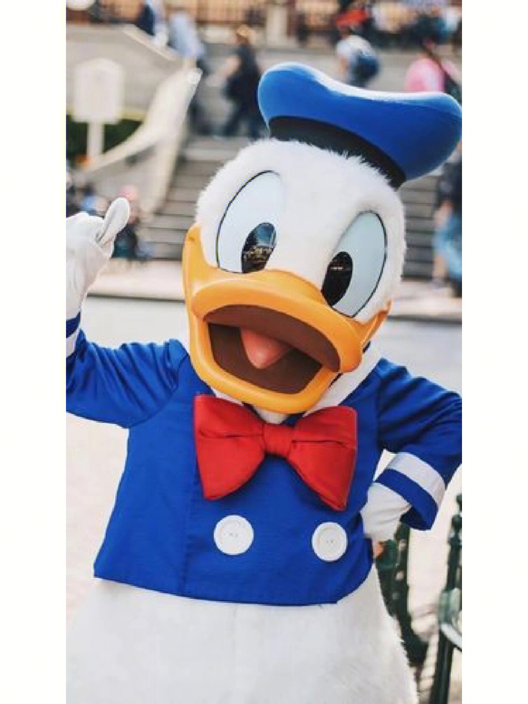 华特迪士尼创造出来一个呆萌,以蓝色水手服,水手帽为特色的鸭子