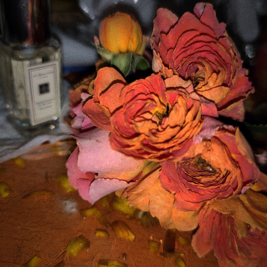 昨晚刚把干花从干燥剂里拿出来,效果很满意,拍了好多照片,还喷了香水
