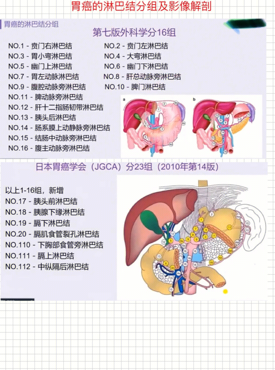 胃的区域淋巴结分组图片