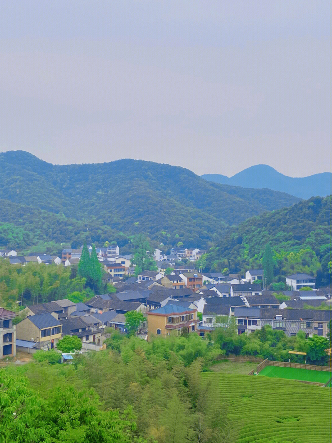 绍兴市越城区云松村图片