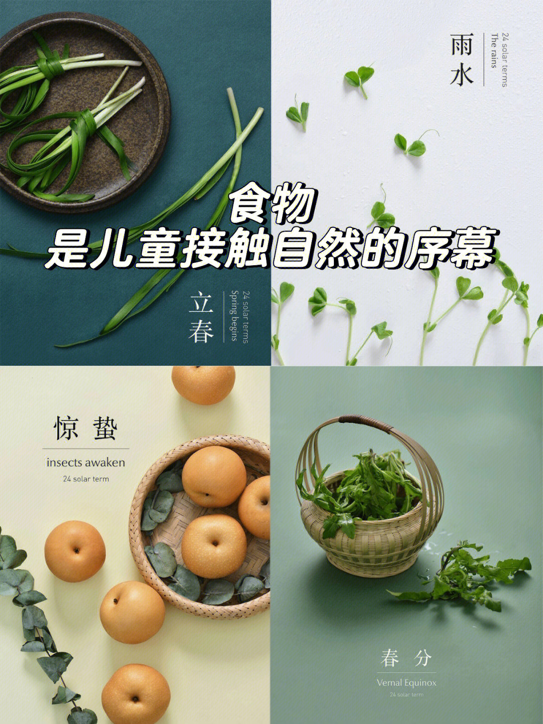 南方24节气种菜表图片