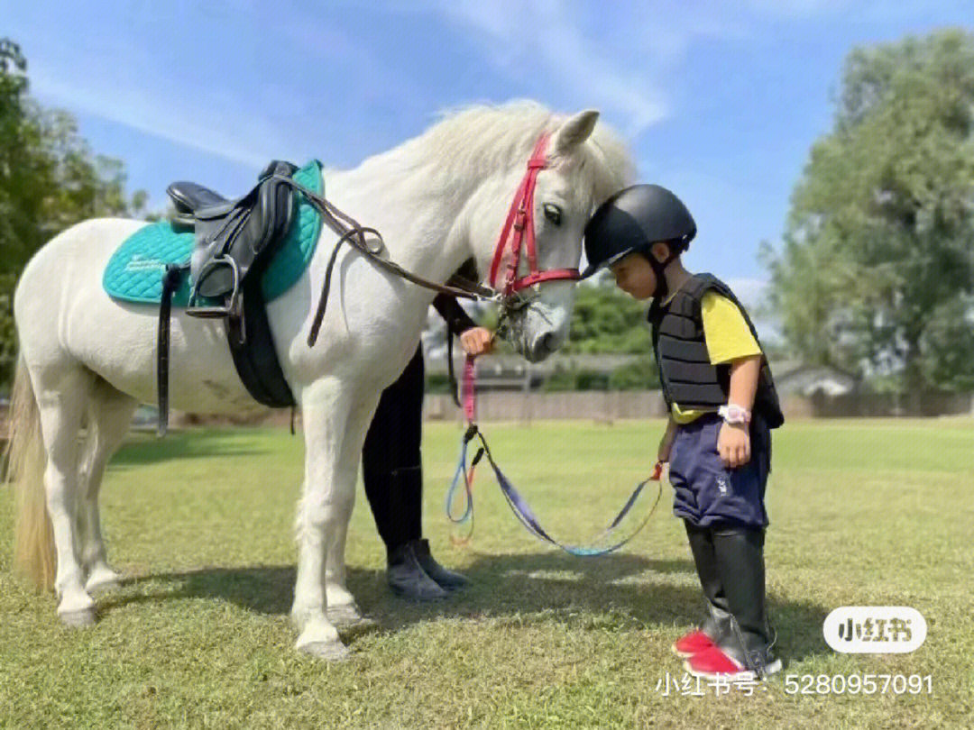 南宁马术#广西马术#儿童马术#营地冬令营#南宁研学#南宁