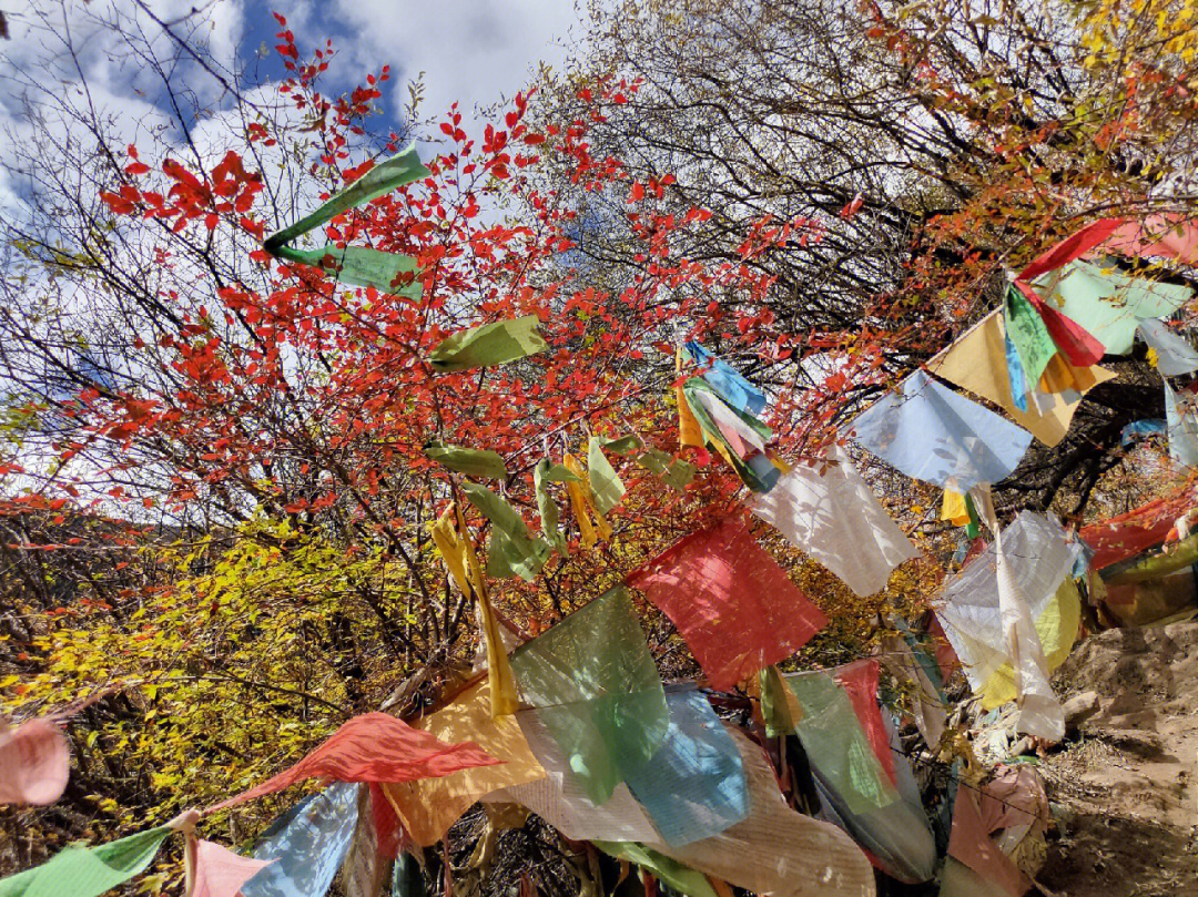 西藏林芝苯日神山转山1