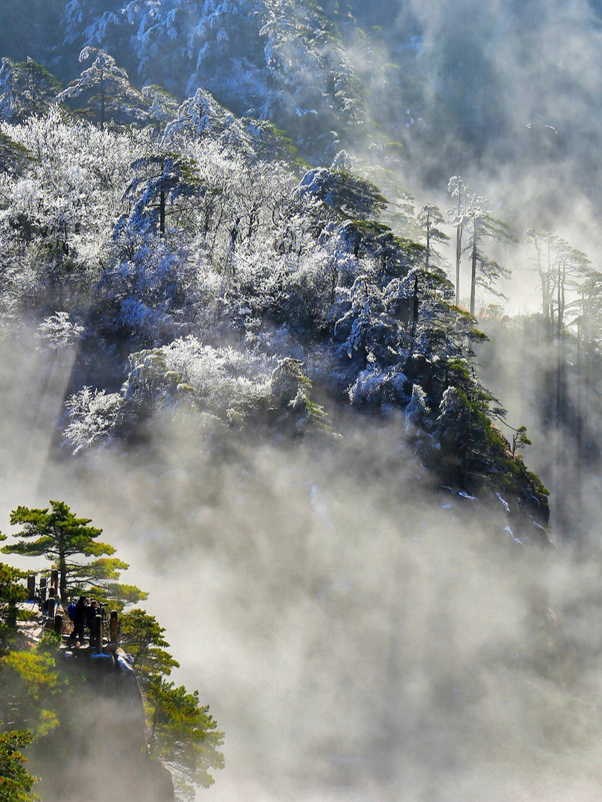 黄山雾凇图片 冬雪图片