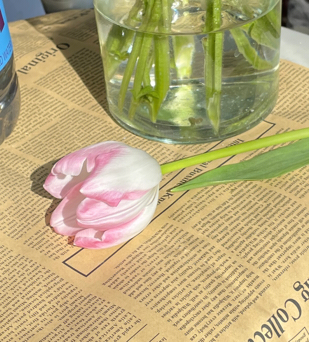 郁金香花束插水里蔫了图片