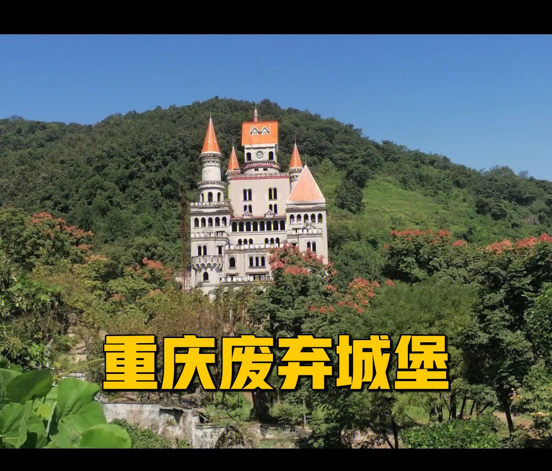重庆忠义林城堡事件图片