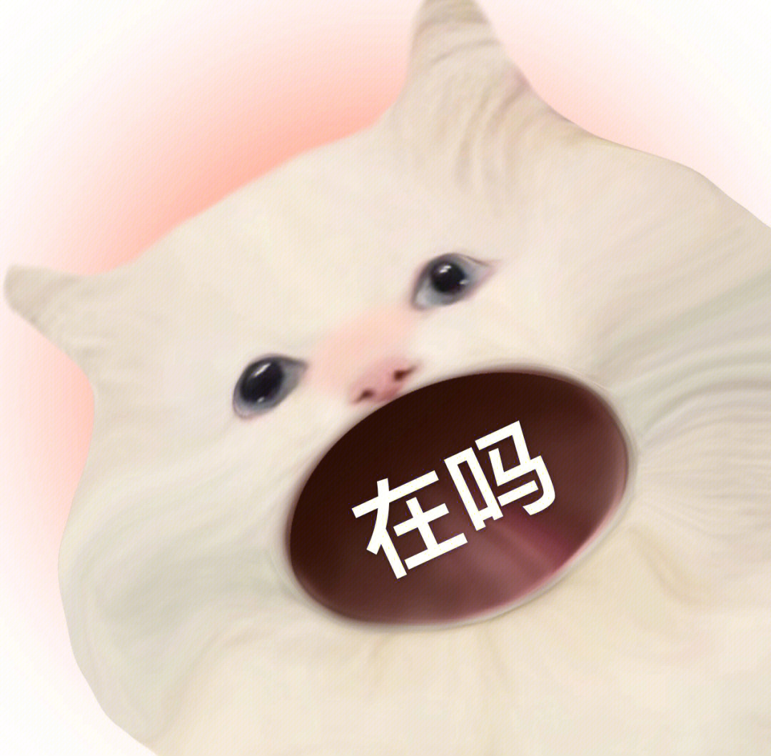 猫猫头问候四连