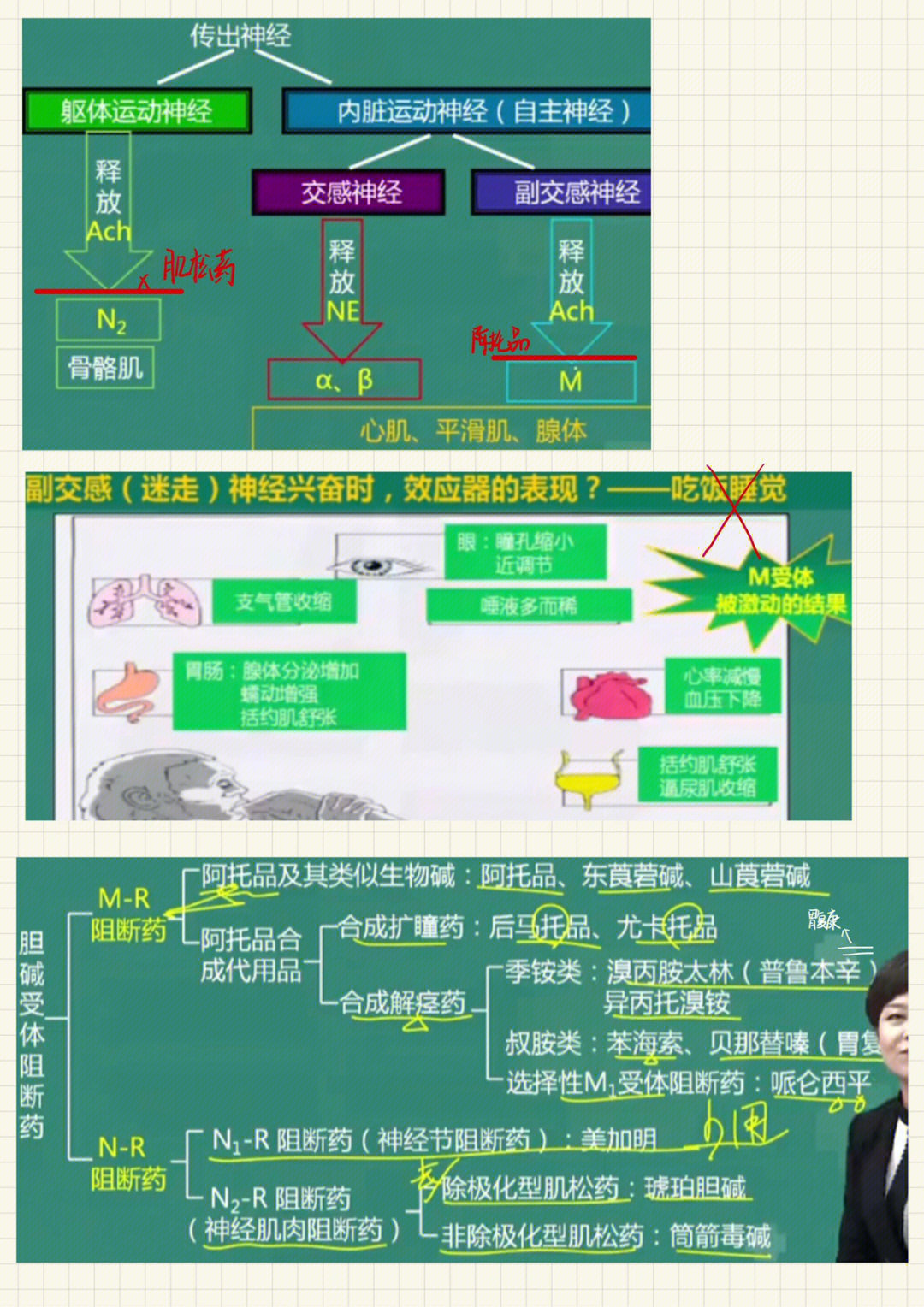 药理学绘图大赛图片