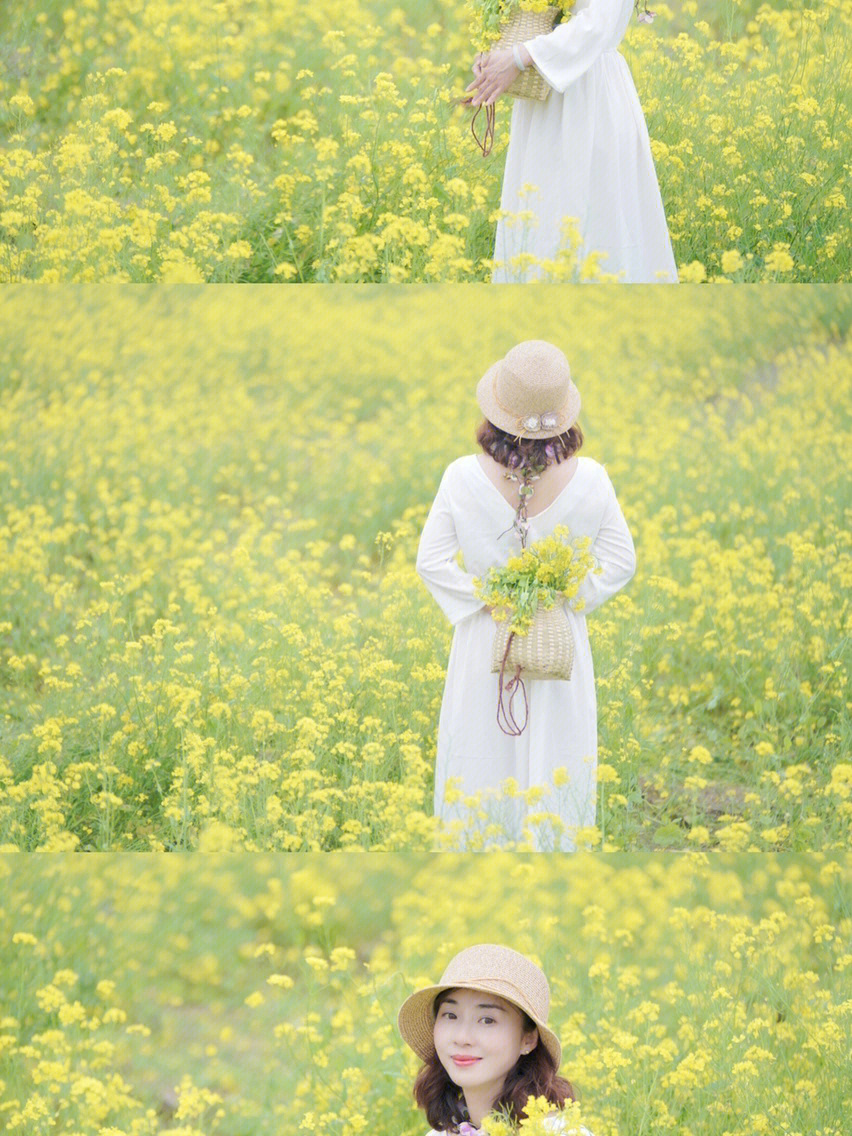 广西宾阳古辣油菜花图片