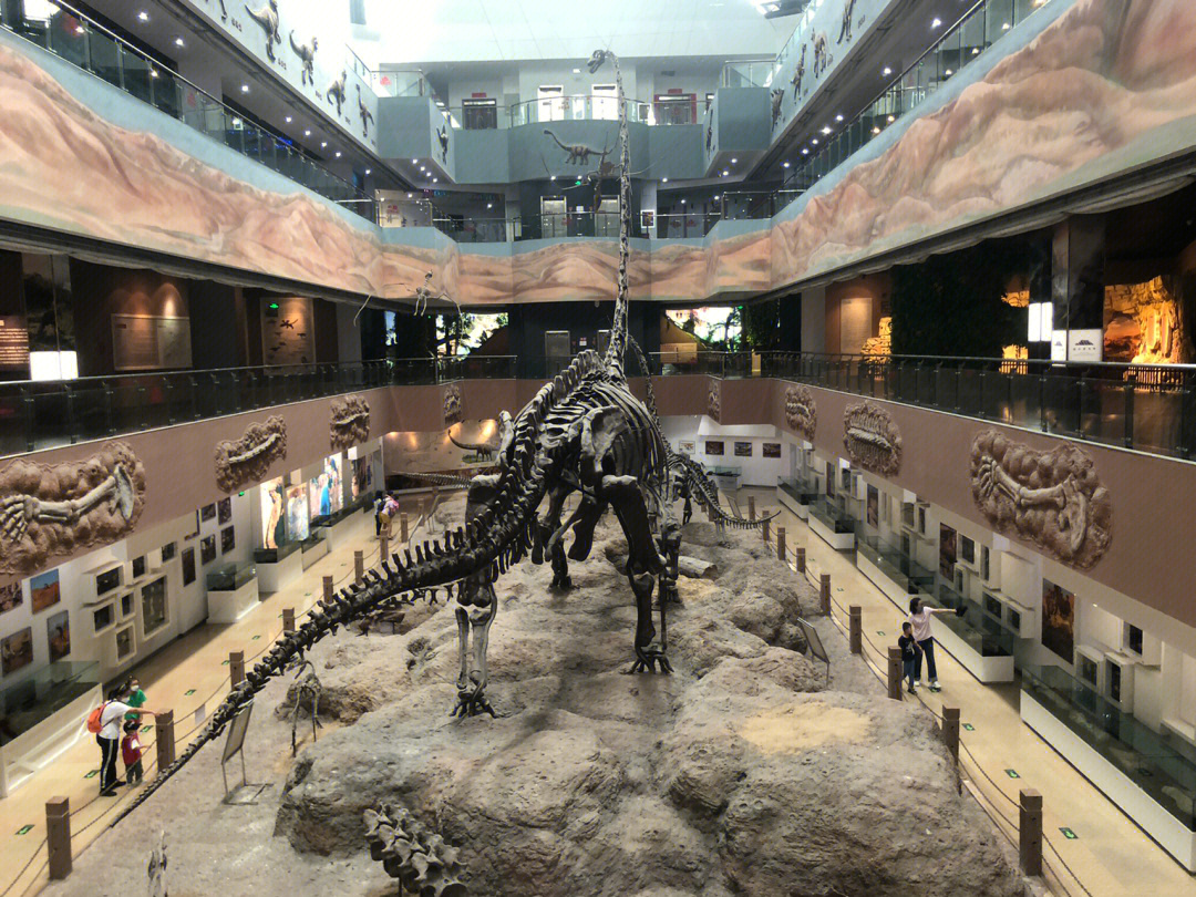 河源恐龙博物馆观后感图片