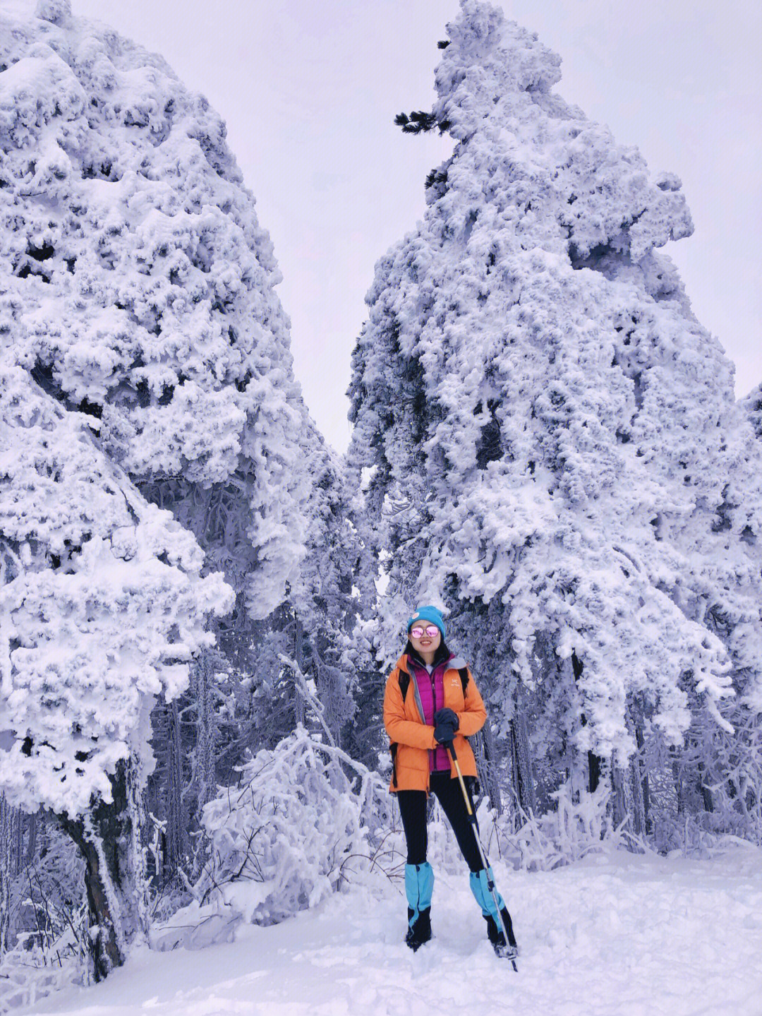 走遍杭州去临安百丈岭的林海雪地里撒欢