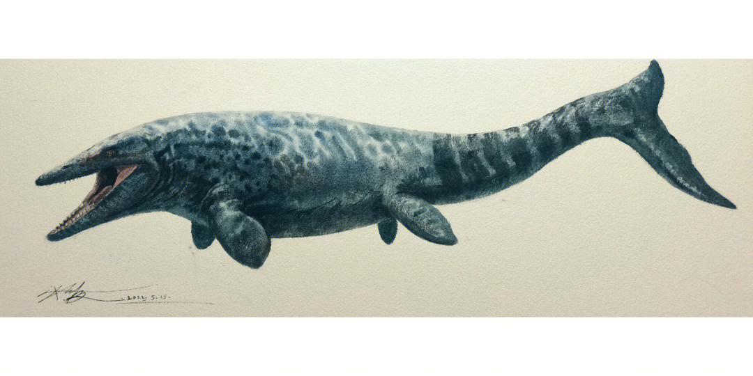 彭比纳海王龙(tylosaurus pembinensis)生存于晚白垩世距今约8000多万