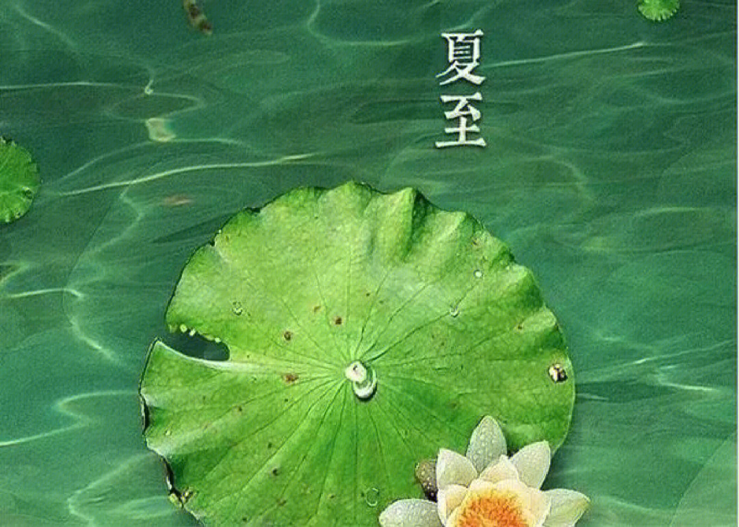 夏至节气