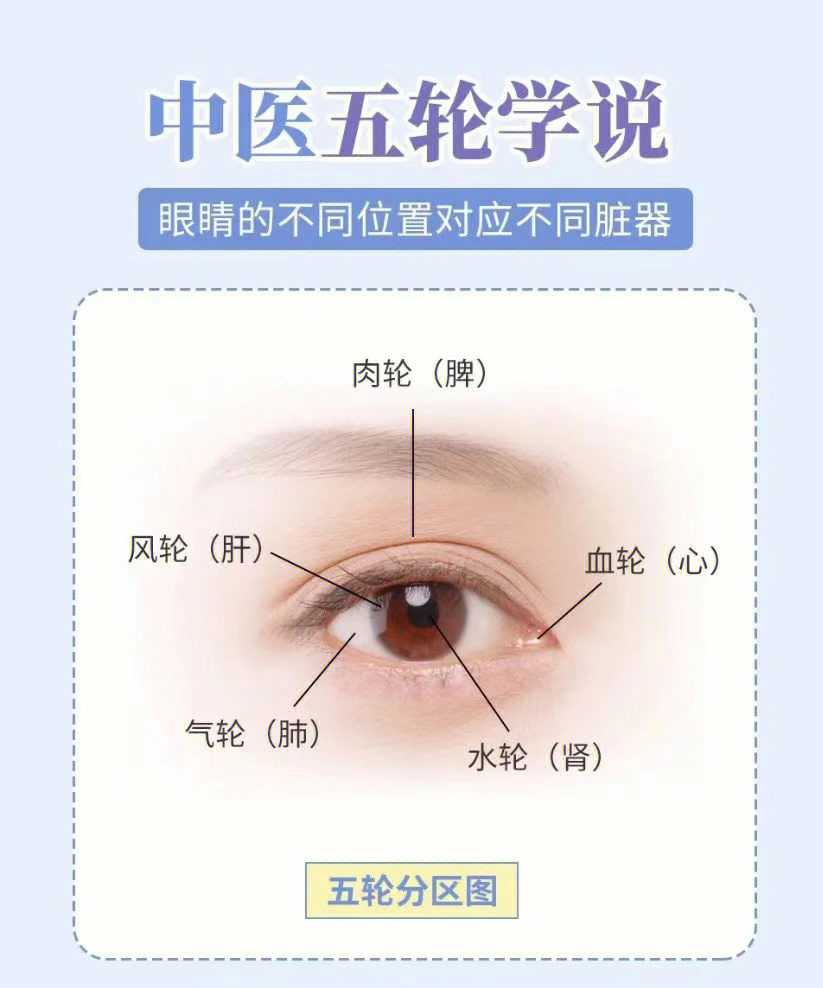 中医五轮学说