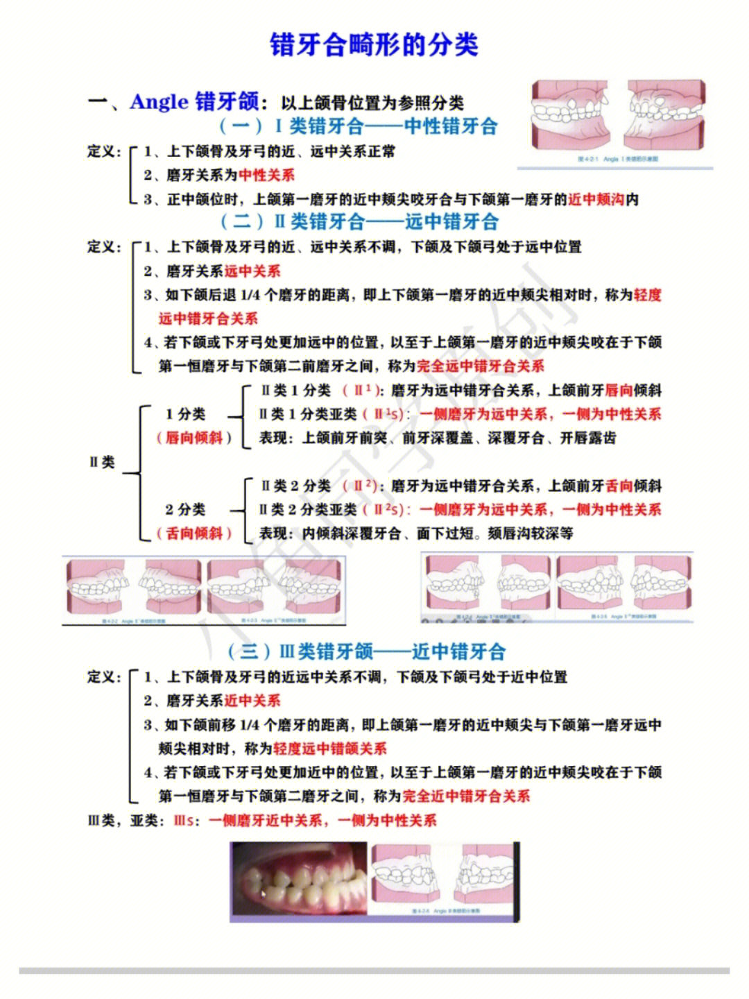 安氏分类关系图图片