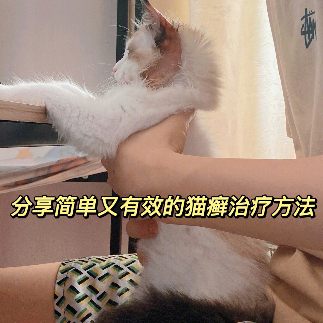 猫藓怎么治最有效图片