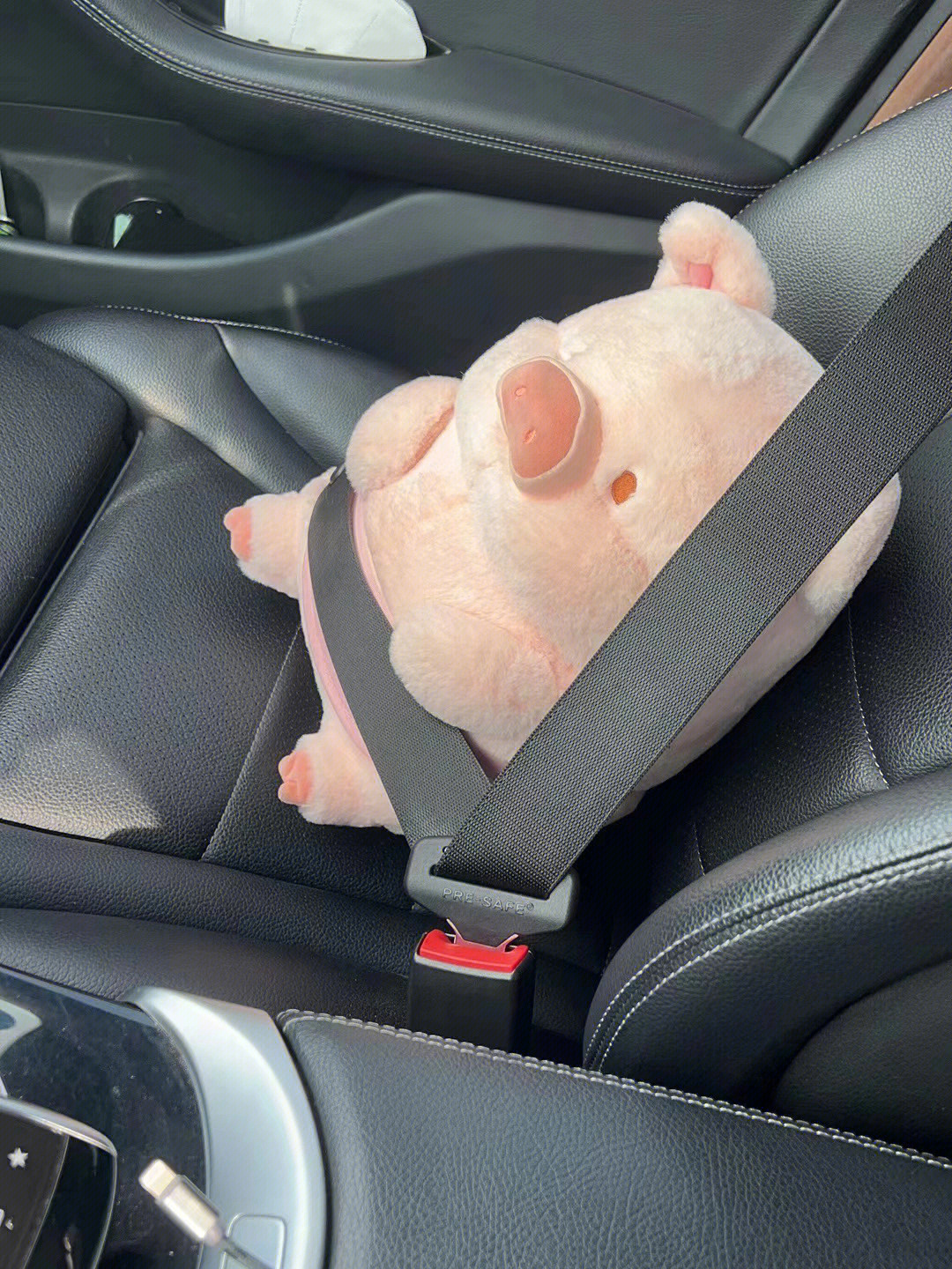 捉一只乖乖系安全带坐车的lulu猪