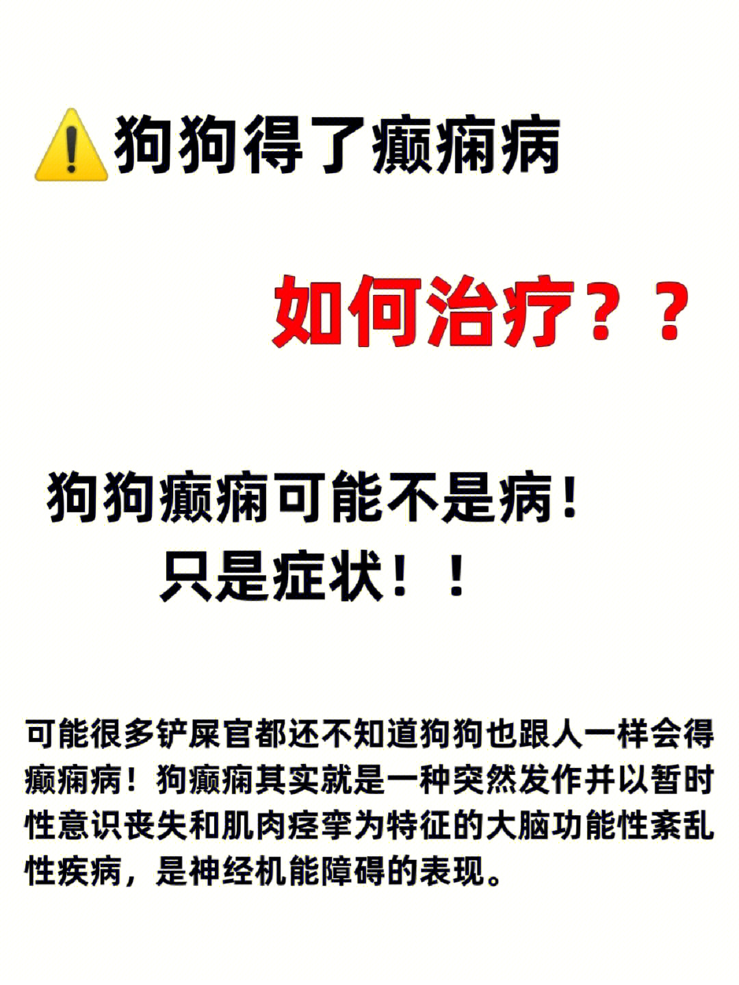 狗狗癫痫知识科普养狗人千万要重视60