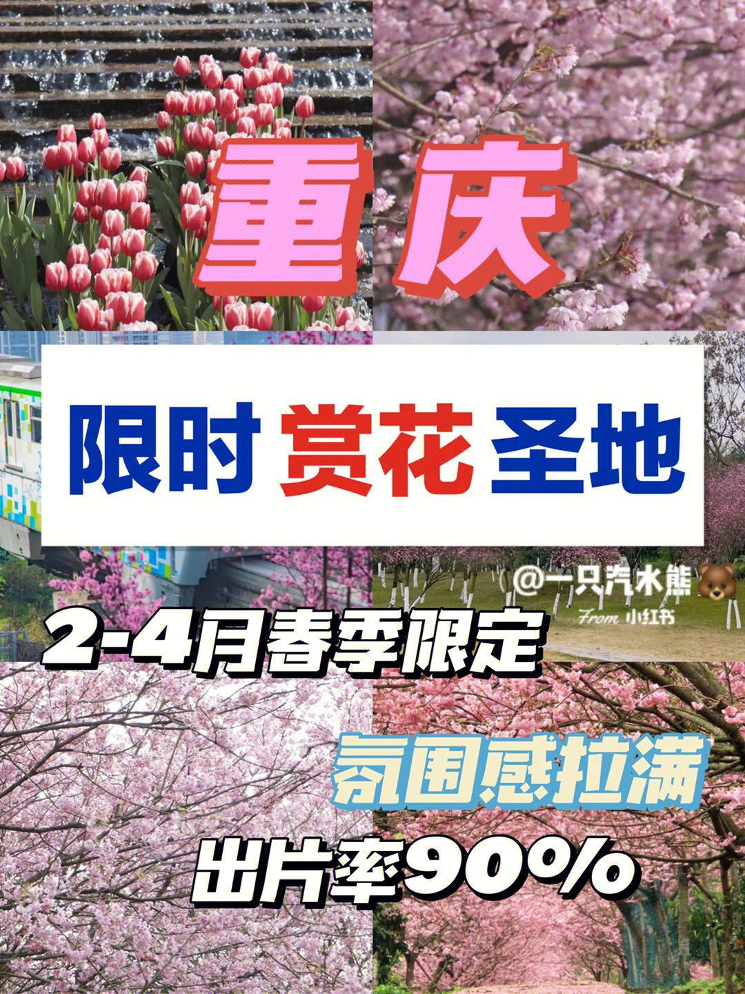 2022重庆周边看花图片