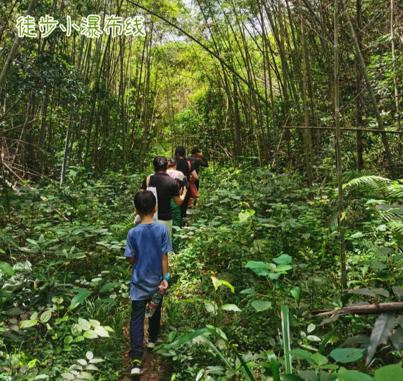 清远大帽山山火图片