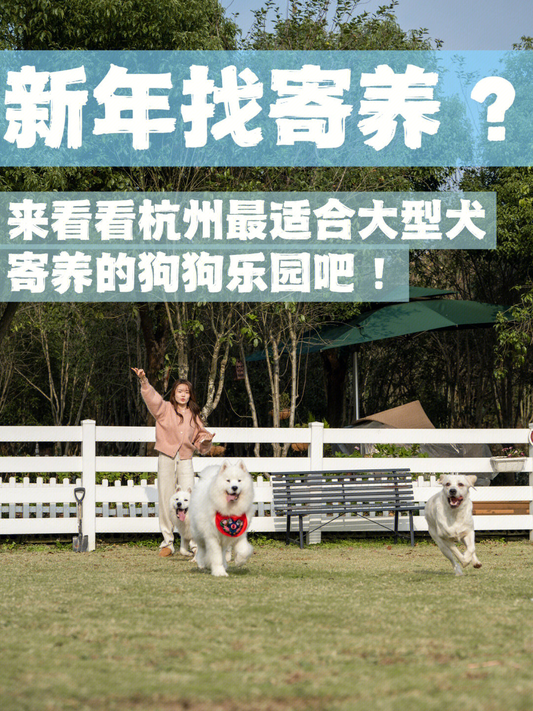 我给大家说一说我们为什么是杭州最适合大型犬寄养的狗狗乐园～我们是