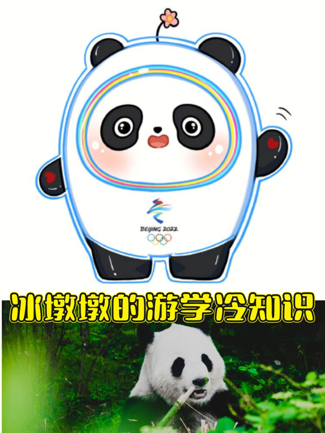 奥运熊猫晶晶图片