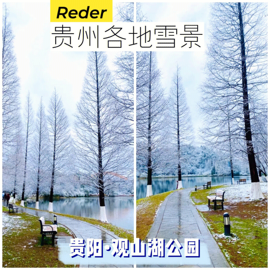 贵州各地绝美雪景分享