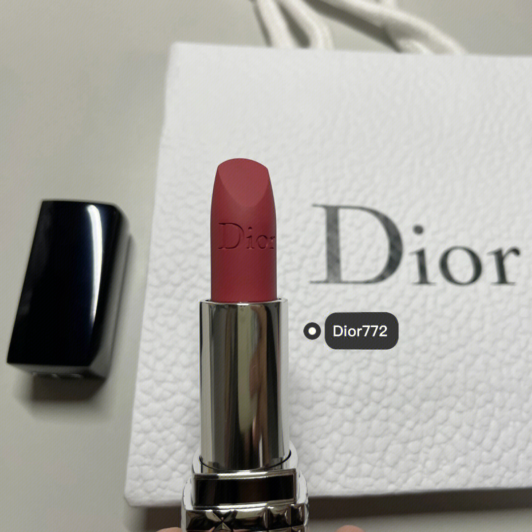 dior772温柔豆沙色