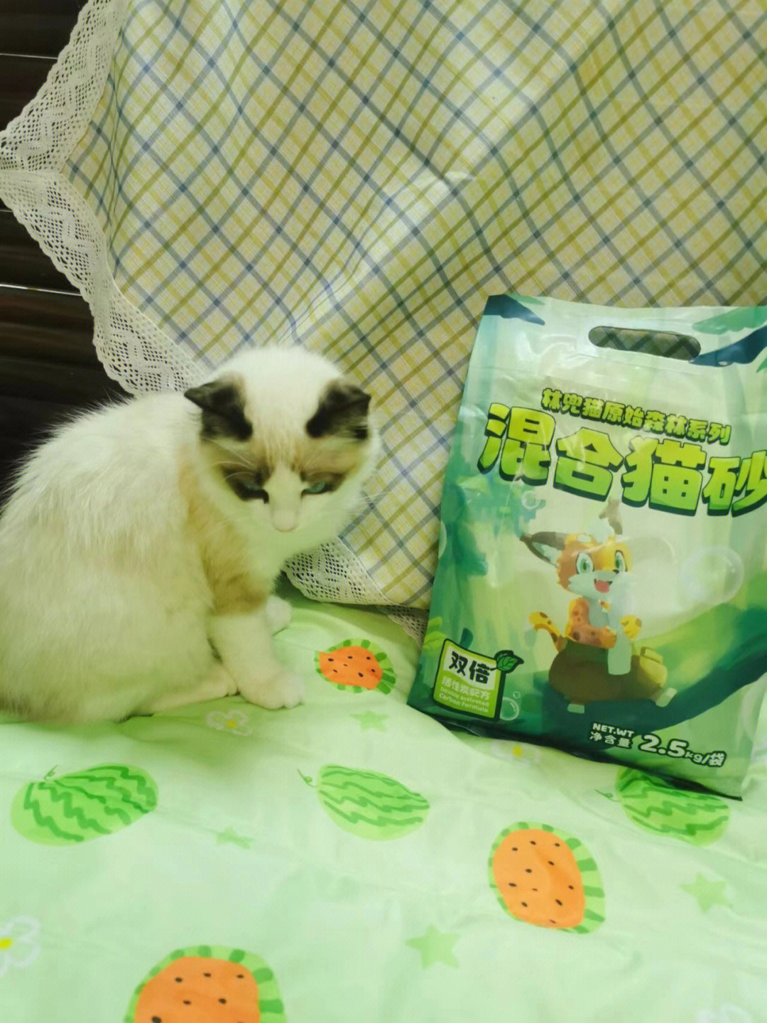 一款新的猫砂崛起林兜猫混合猫砂