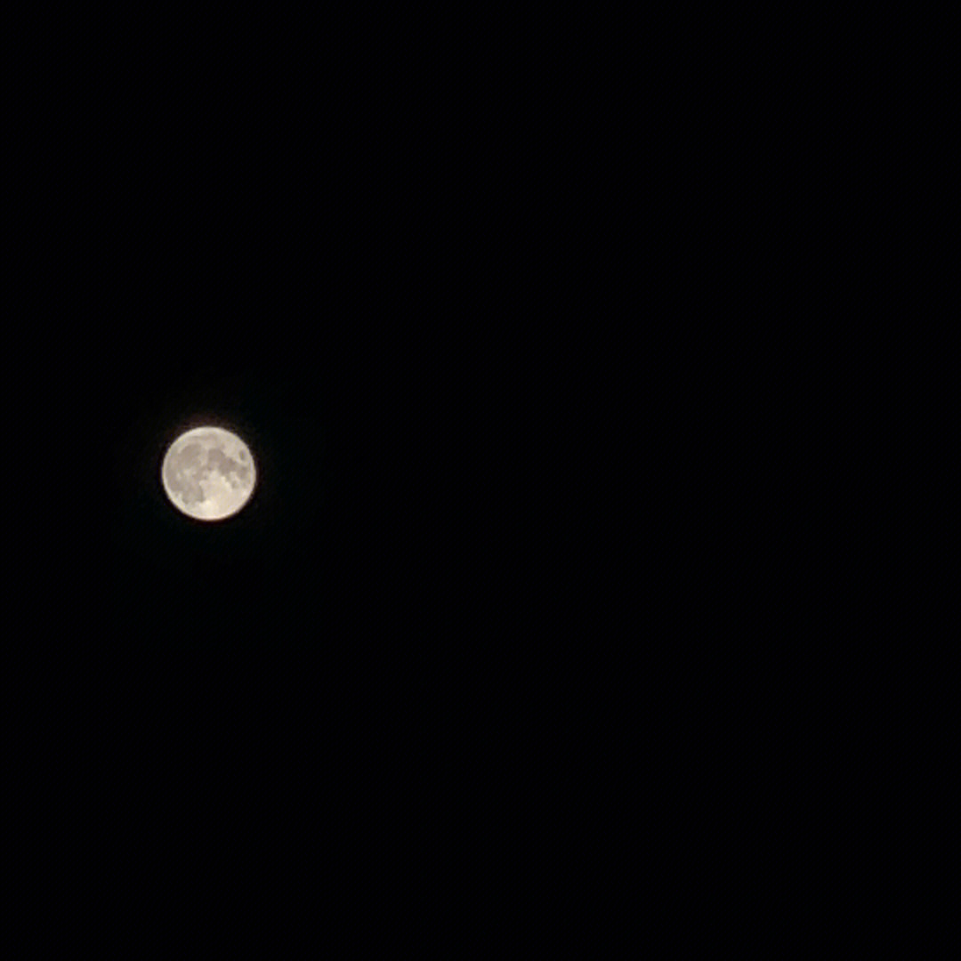 第一张 简直绝了  不敢相信这是我拍出来的太美了 今晚的月色真美!