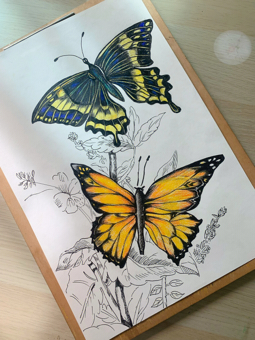 03秋天的蝴蝶儿童彩铅线描画创意美术手绘
