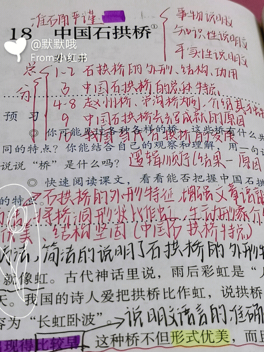 八年级上册中国石拱桥课文笔记课堂笔记